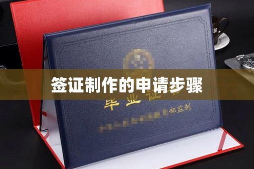 凉山签证制作的申请步骤