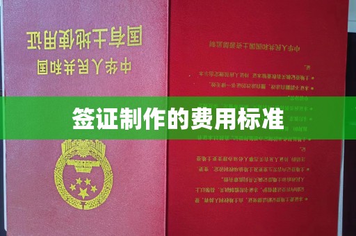 凉山签证制作的费用标准