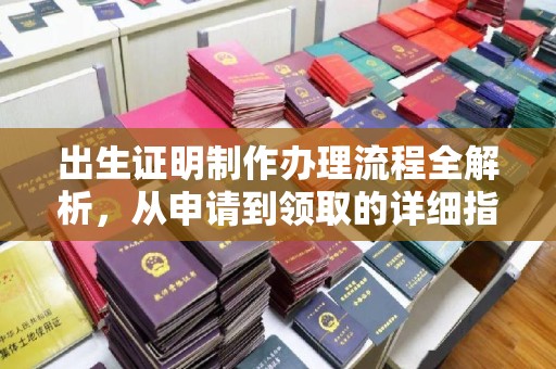 凉山出生证明制作办理流程全解析，从申请到领取的详细指南